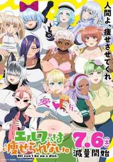 Elf-san wa Yaserarenai. (Dub)